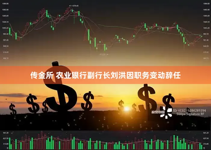 传金所 农业银行副行长刘洪因职务变动辞任