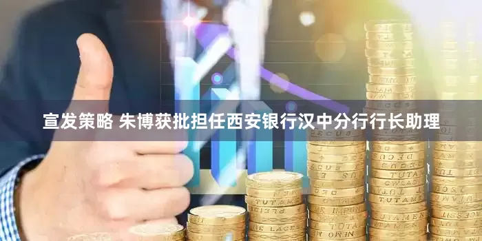 宣发策略 朱博获批担任西安银行汉中分行行长助理